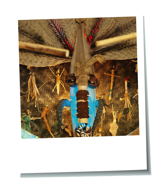 Tipi